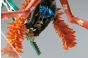 One Piece Creator X Creator Figure Brook 11 cm