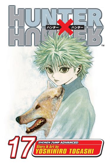 Hunter x Hunter, Vol. 17 