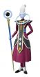 Dragon Ball Super - SH Figuarts - Whis Web EX - 15 cm