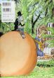 One Piece ― Illustration Book (Color Walk 6) - Japanese Import