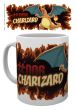 Pokemon - Mug 300 ml / 10 oz - Charizard Fire